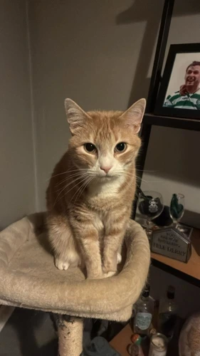 Charlie