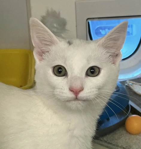 Casper