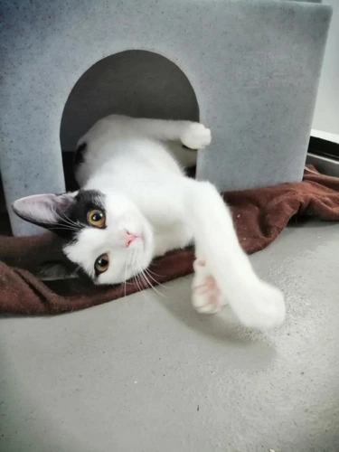 Tequila