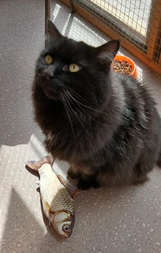 Lucie