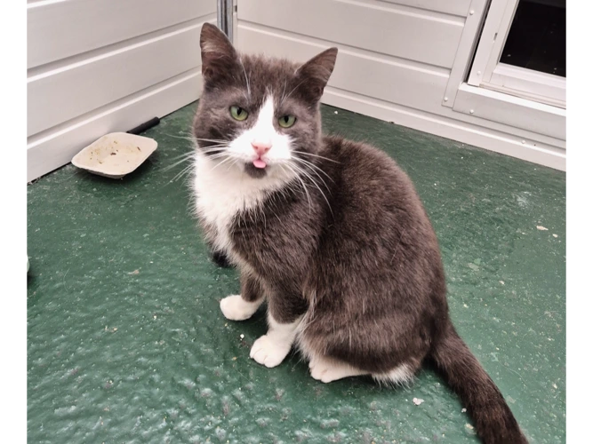 Milo