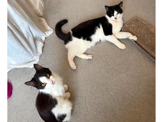 Winnie (1y) and Florence (9m)