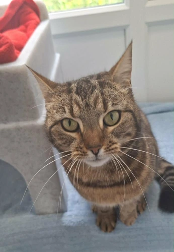 Zoe