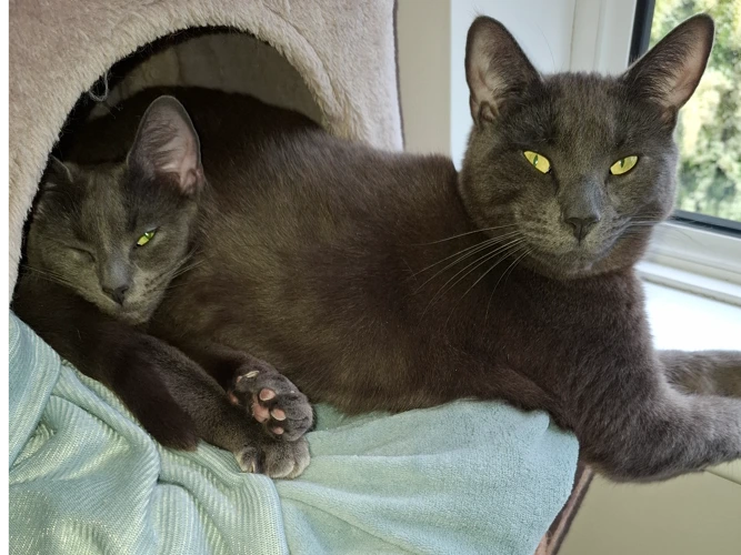 Ra & Luna