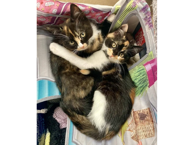 Maggie and Margot