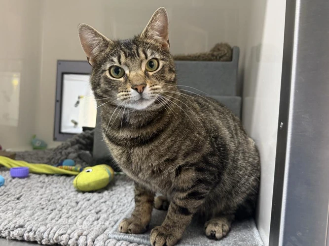 Hugo Outdoor Home Needed