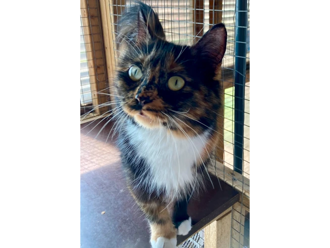 Sally