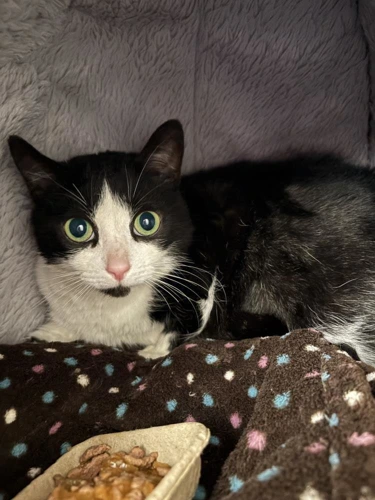 Sophie
