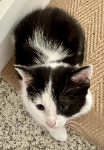 Smudge