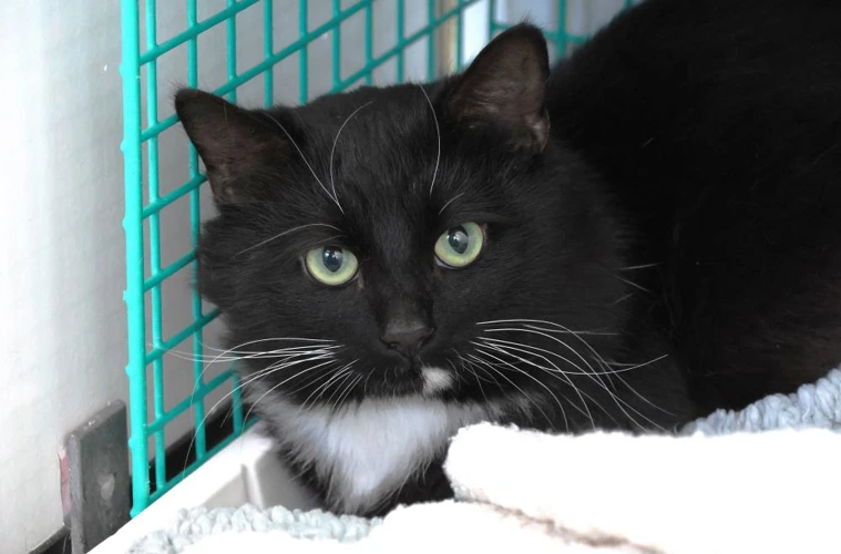 Binx
