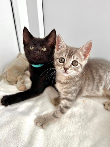 Roxanne and Jude
