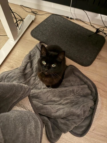 Minky