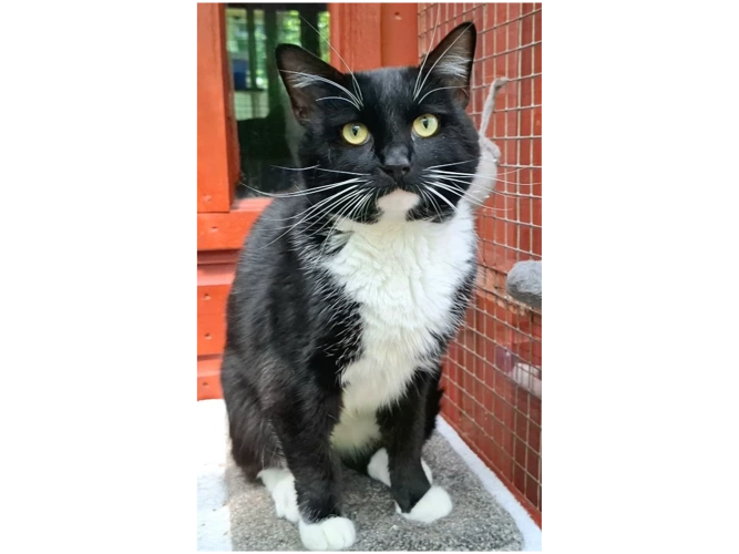 Gus