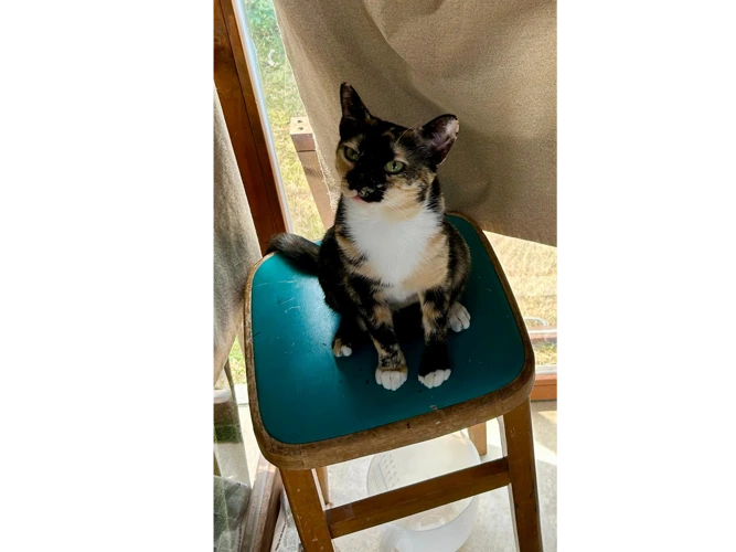 Twiggy (& Rosie)
