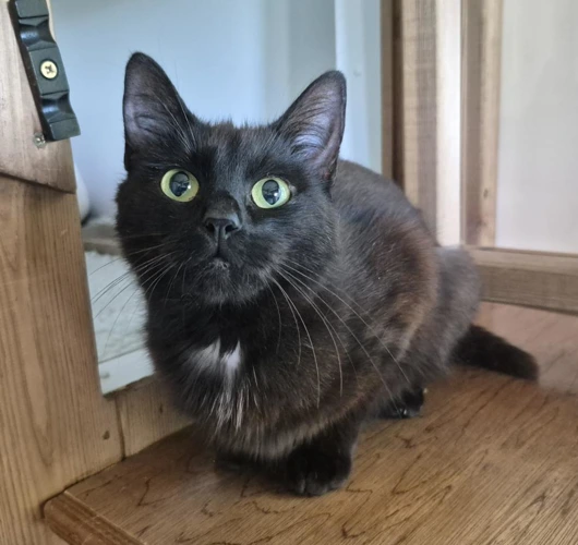 Sabrina