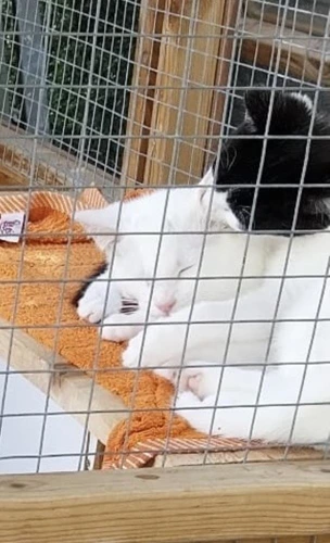 Olaf and Mitzi