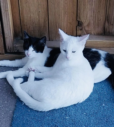 Mitzi and Olaf