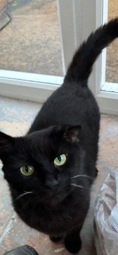 Luna