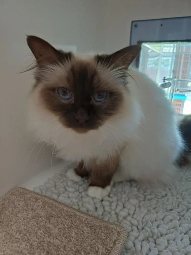 Namba