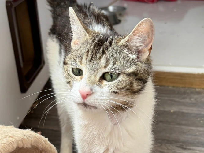 5-year-old Mimi