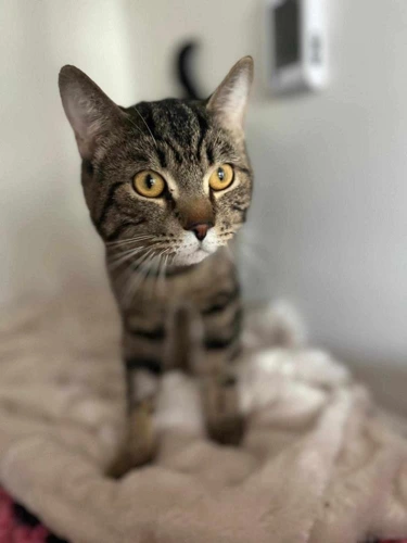 Max