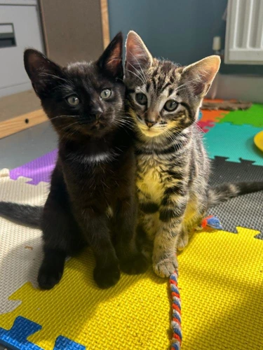 Orla and Annya