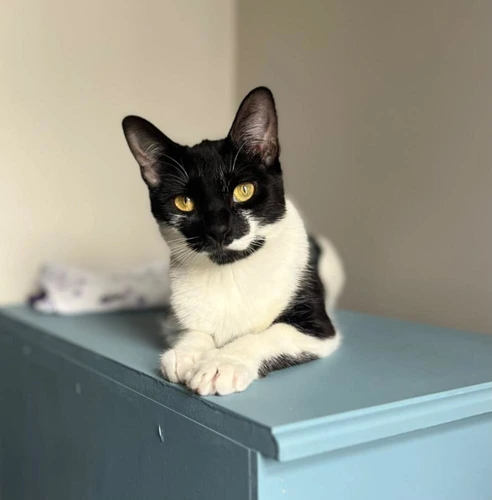 Della