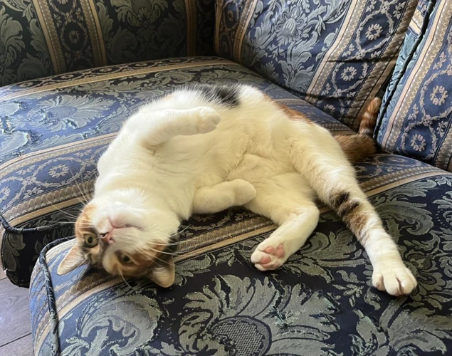 Smudge