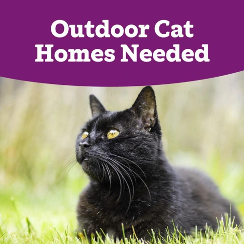Special Appeal Outdoor Homes Needed