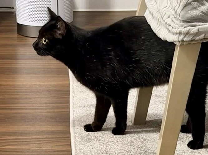 Matilda