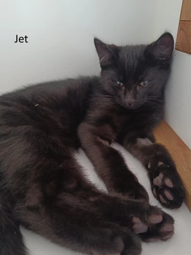 Jet