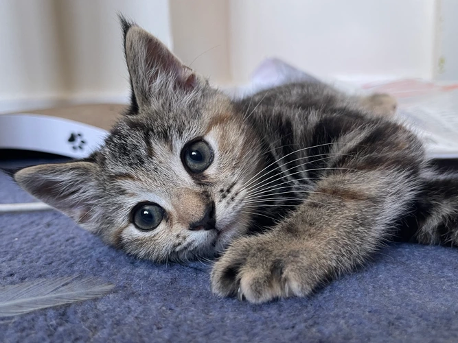 Winnie