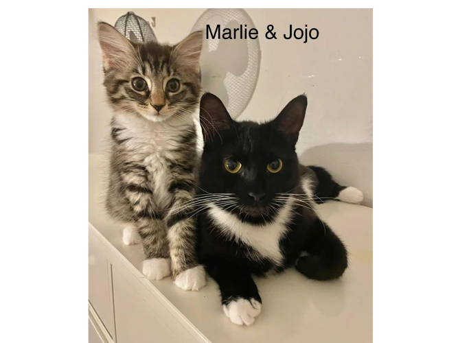 Jojo and Marlie