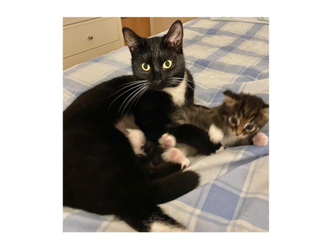 Jojo and Marlie