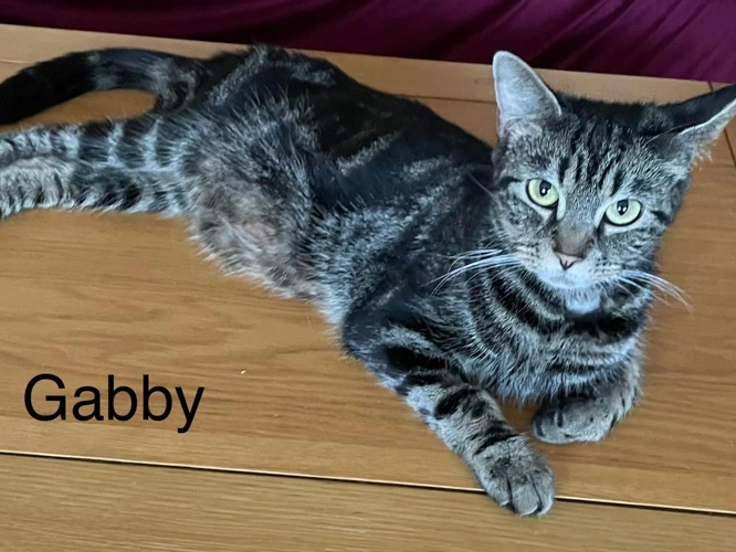 Gabby