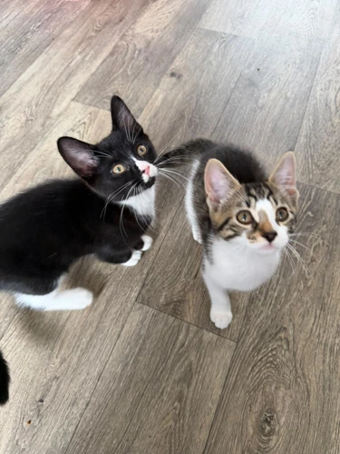 Ellie and Eddie