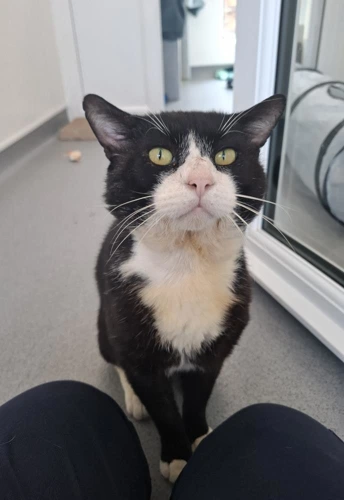 Bruce