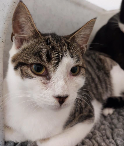 Lilypad 6mth old female