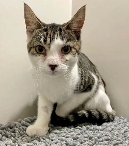 Lilypad 6 Month Old Female