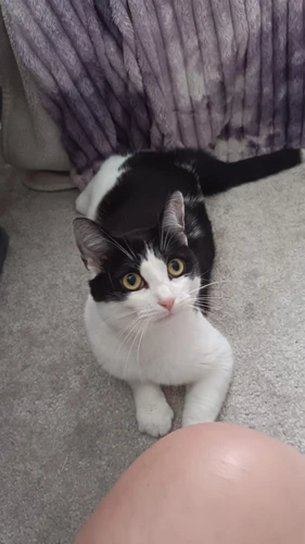Delilah