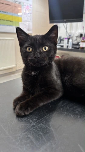 Fern AKA Winnie
