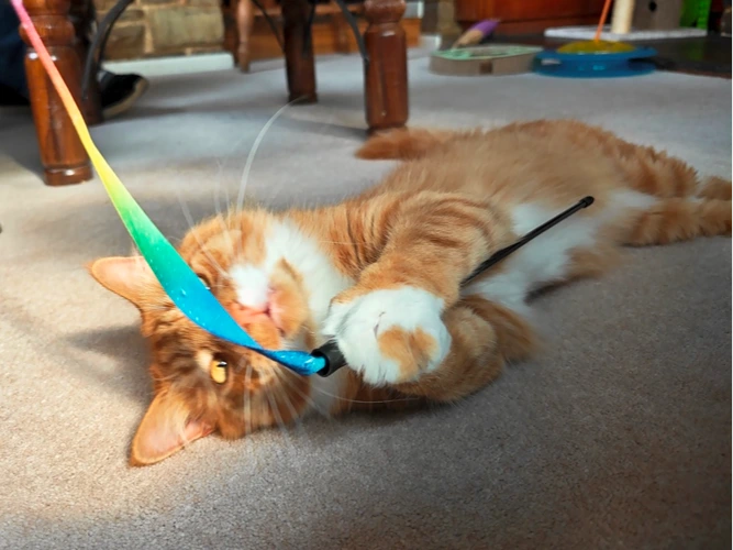 Simba