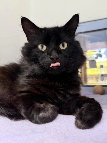 Cash