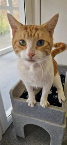 Max