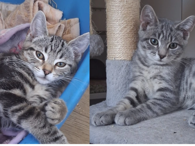 Marie & Berlioz