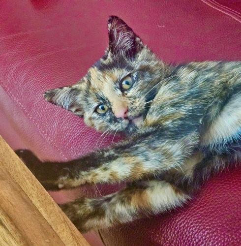 Matilda