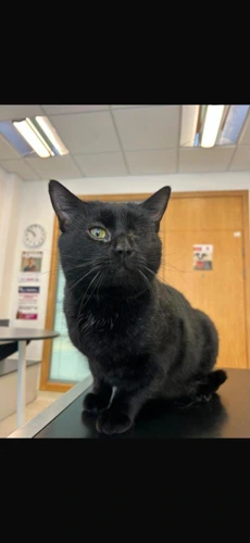 Binx