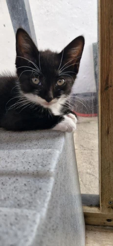 Matilda