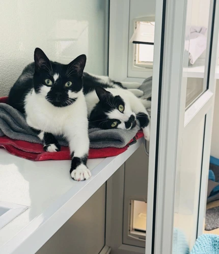 Dali and Fiona