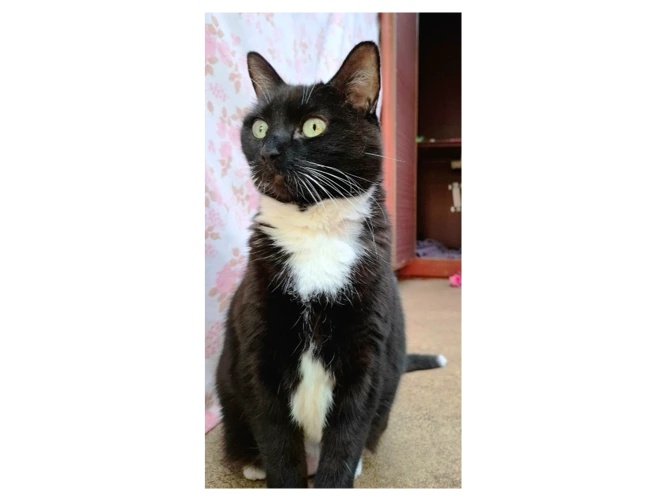 Twix